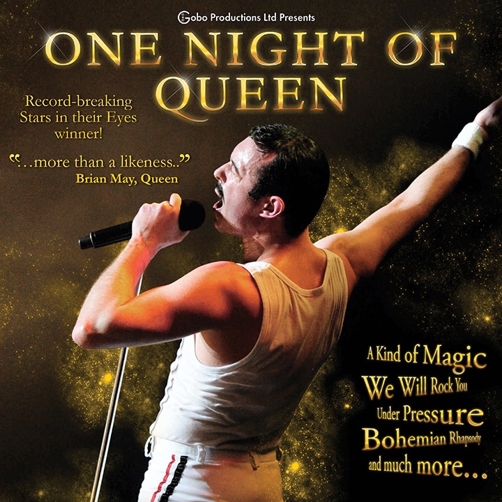 ONE NIGHT OF QUEEN BY GARY MULLEN AND THE WORKS