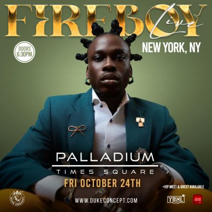 Fireboy DML - USA Tour